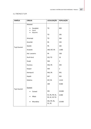 CULTURAS E HISTÓRIA DOS POVOS INDÍGENAS • Módulo I   87

4.2 TRONCO TUPI
 