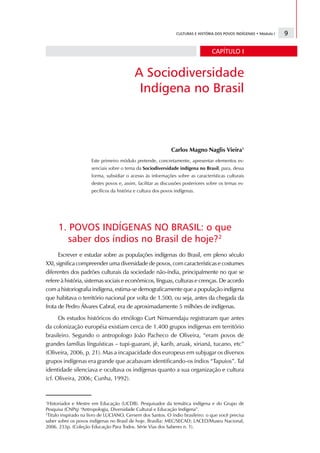 CULTURAS E HISTÓRIA DOS POVOS INDÍGENAS • Módulo I   9

                                                                                  CAPÍTULO I


                                           A Sociodiversidade
                                            Indígena no Brasil



                                                              Carlos Magno Naglis Vieira1
                      Este primeiro módulo pretende, concretamente, apresentar elementos es-
                      senciais sobre o tema da Sociodiversidade indígena no Brasil, para, dessa
                      forma, subsidiar o acesso às informações sobre as características culturais
                      destes povos e, assim, facilitar as discussões posteriores sobre os temas es-
                      pecíficos da história e cultura dos povos indígenas.




      1. POVOS INDÍGENAS NO BRASIL: o que
        saber dos índios no Brasil de hoje?2
      Escrever e estudar sobre as populações indígenas do Brasil, em pleno século
XXI, significa compreender uma diversidade de povos, com características e costumes
diferentes dos padrões culturais da sociedade não-índia, principalmente no que se
refere à história, sistemas sociais e econômicos, línguas, culturas e crenças. De acordo
com a historiografia indígena, estima-se demograficamente que a população indígena
que habitava o território nacional por volta de 1.500, ou seja, antes da chegada da
frota de Pedro Álvares Cabral, era de aproximadamente 5 milhões de indígenas.
      Os estudos históricos do etnólogo Curt Nimuendaju registraram que antes
da colonização européia existiam cerca de 1.400 grupos indígenas em território
brasileiro. Segundo o antropologo João Pacheco de Oliveira, “eram povos de
grandes famílias línguísticas – tupi-guarani, jê, karib, aruak, xirianá, tucano, etc”
(Oliveira, 2006, p. 21). Mas a incapacidade dos europeus em subjugar os diversos
grupos indígenas era grande que acabavam identificando-os índios “Tapuios”. Tal
identidade silenciava e ocultava os indígenas quanto a sua organização e cultura
(cf. Oliveira, 2006; Cunha, 1992).


1
 Historiador e Mestre em Educação (UCDB). Pesquisador da temática indígena e do Grupo de
Pesquisa (CNPq) “Antropologia, Diversidade Cultural e Educação Indígena”.
2
 Titulo inspirado na livro de LUCIANO, Gersem dos Santos. O índio brasileiro: o que você precisa
saber sobre os povos indígenas no Brasil de hoje. Brasília: MEC/SECAD; LACED/Museu Nacional,
2006. 233p. (Coleção Educação Para Todos. Série Vias dos Saberes n. 1).
 