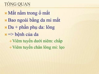 chắp lẹo mộng mắt 2.pdf