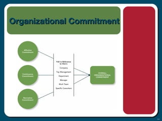 3-9
Organizational CommitmentOrganizational Commitment
 