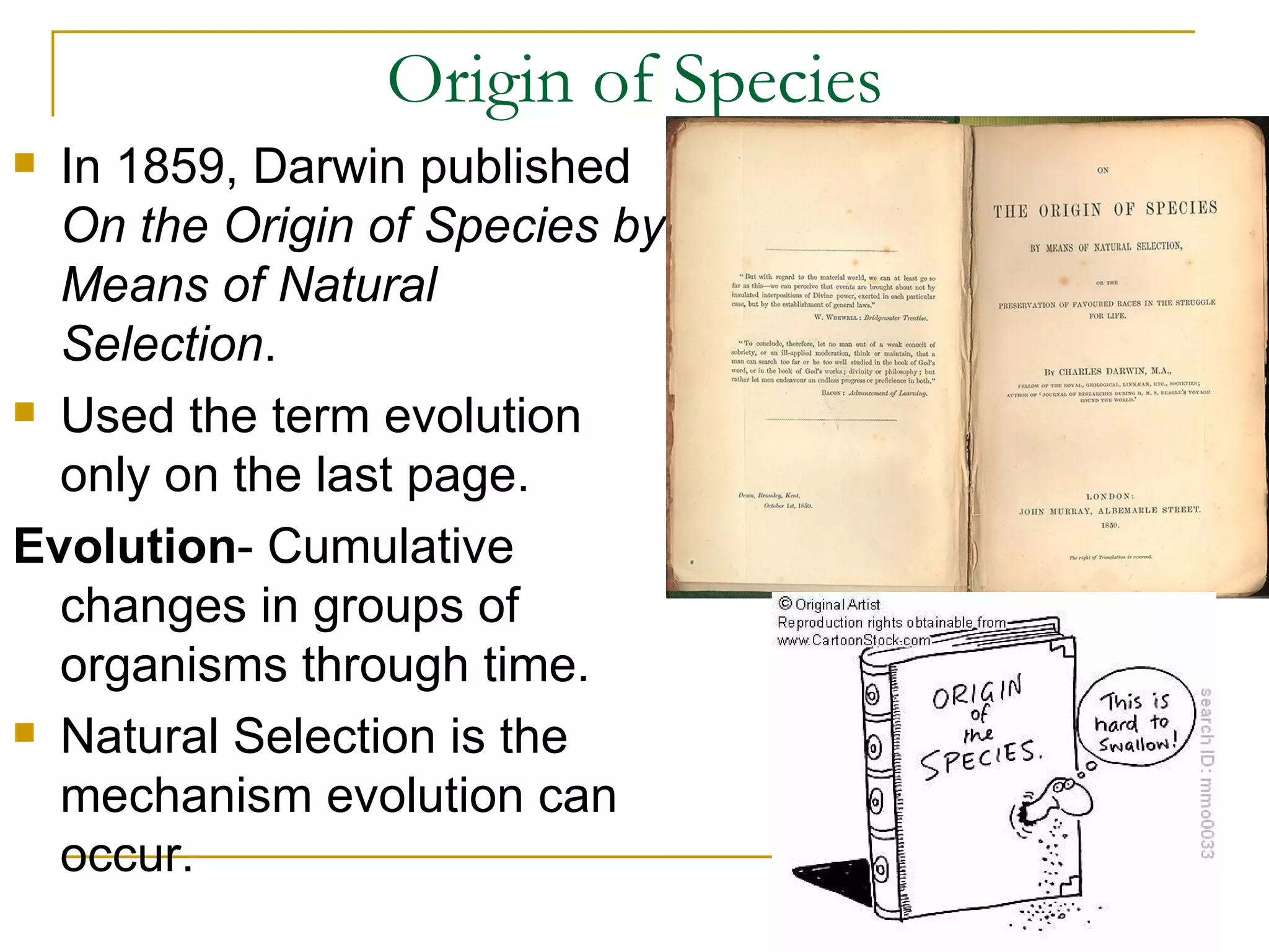 Origin of Species In 1859, Darwin published On the Origin of Species by Means of Natural Selection . Used the term evolution only on the last page. Evolution - Cumulative changes in groups of organisms through time. Natural Selection is the mechanism evolution can occur.