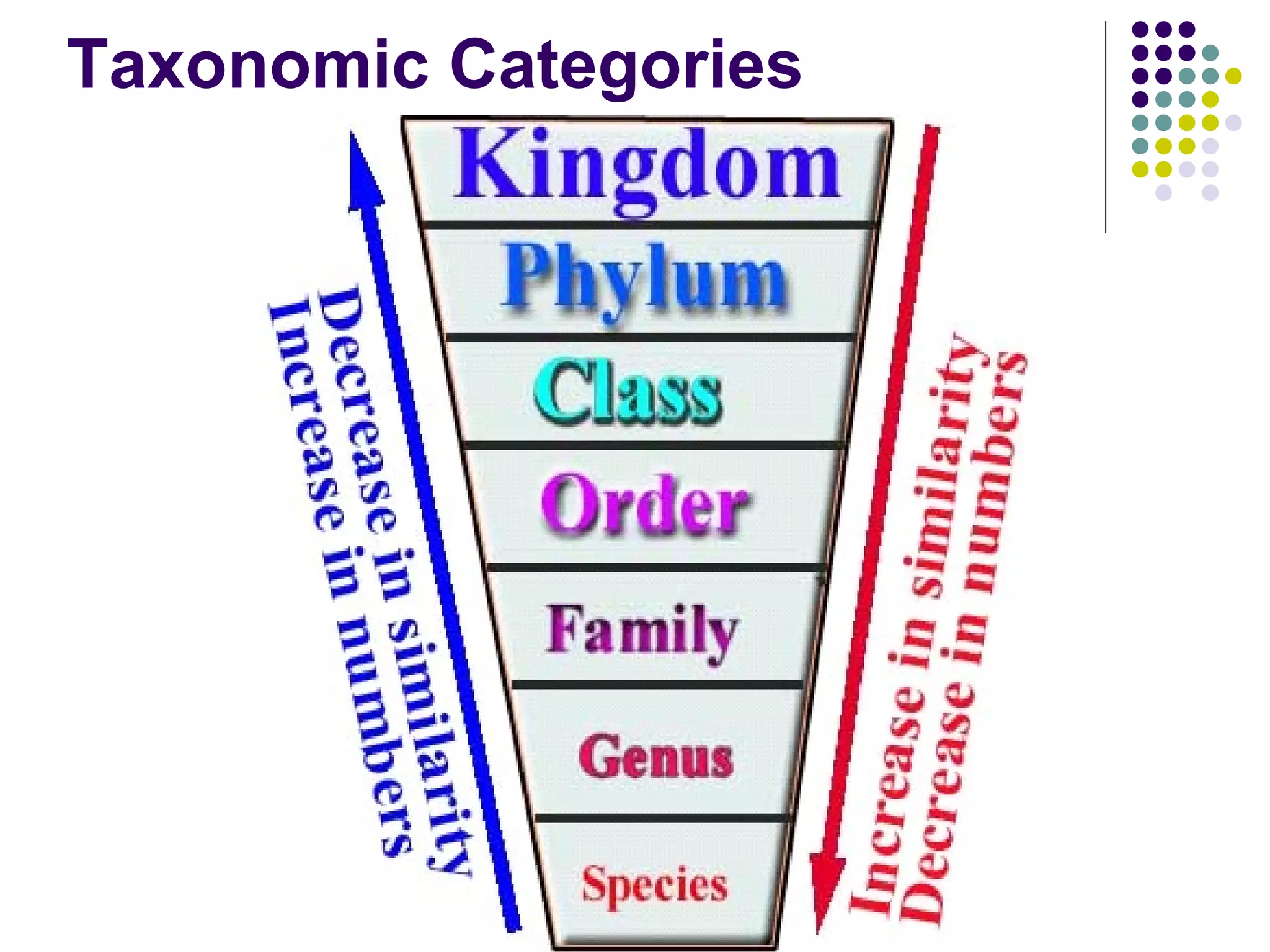 Taxonomic Categories