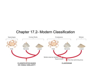 Chapter 17.2- Modern Classification
 
