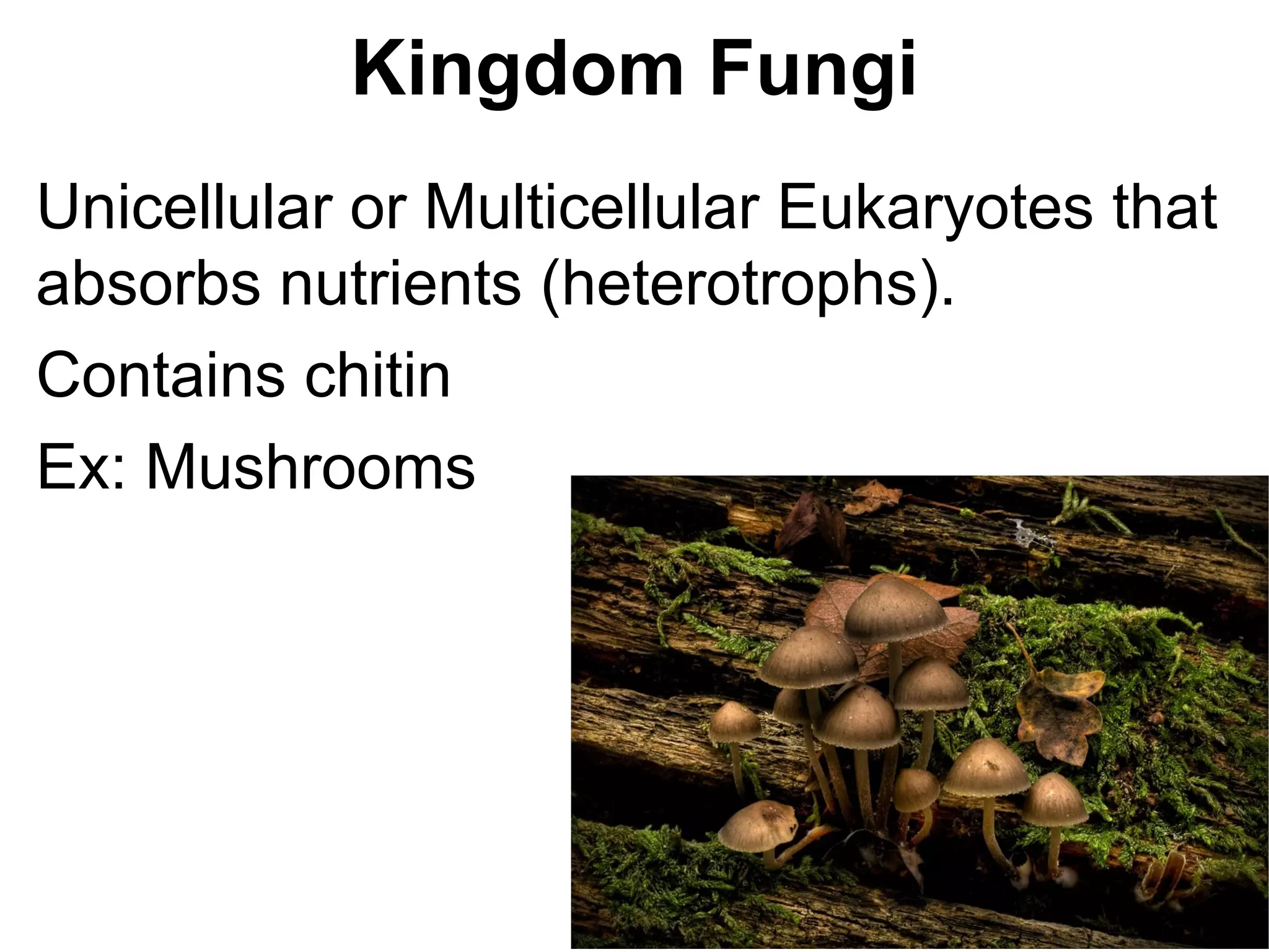 Kingdom Fungi
Unicellular or Multicellular Eukaryotes that
absorbs nutrients (heterotrophs).
Contains chitin
Ex: Mushrooms
 