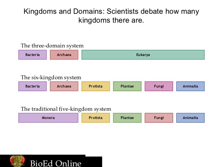 Domain And Kingdom Chart
