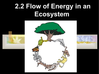 2.2 Flow of Energy in an
       Ecosystem
 