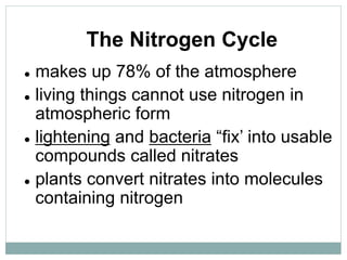 The Nitrogen Cycle
 makes up 78% of the atmosphere
 living things cannot use nitrogen in
atmospheric form
 lightening and bacteria “fix’ into usable
compounds called nitrates
 plants convert nitrates into molecules
containing nitrogen
 