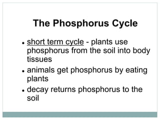 The Phosphorus Cycle
 short term cycle - plants use
phosphorus from the soil into body
tissues
 animals get phosphorus by eating
plants
 decay returns phosphorus to the
soil
 