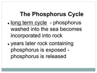 The Phosphorus Cycle
 long term cycle - phosphorus
washed into the sea becomes
incorporated into rock
 years later rock containing
phosphorus is exposed -
phosphorus is released
 