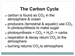 The Carbon Cycle
 carbon is found as CO2 in the
atmosphere & ocean
 producers (terrestrial & aquatic) use CO2
in photosynthesis to make sugar
 photosynthesis = CO2 + H2O -> carbs.
 respiration & decay return CO2 to the
atmosphere
 burning returns CO2 to atmosphere
 