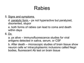 Rabies Inclusions Chpt.22. | PPT