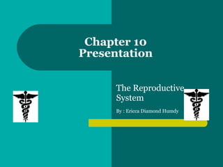 Chapter 10  Presentation  The Reproductive System By : Ericca Diamond Humdy   
