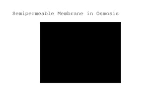 Semipermeable Membrane in Osmosis
 