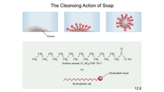 The Cleansing Action of Soap
12.8
 