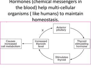 Hormones (chemical messengers in
   the blood) help multi-cellular
organisms ( like humans) to maintain
            homeostasis.
 