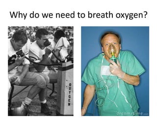 Why do we need to breath oxygen?
 