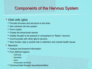 Components of the Nervous System

 Glial cells (glia)
    Provide firmness and structure to the brain
    Get nutrients into the system
    Form myelin
    Create the blood-brain barrier
    Initially thought to be passive in comparison to “flashy” neurons
    Communicate with other glia & neurons
    New frontier: play a central role in addiction and mental health issues
 Neurons
  Analyze and transmit information
  Four defined regions
          Cell body
          Dendrites
          Axon
          Presynaptic terminals
  Communicate through neurotransmitters
 