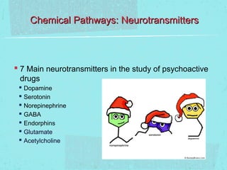 Chemical Pathways: Neurotransmitters



 7 Main neurotransmitters in the study of psychoactive
 drugs
  Dopamine
  Serotonin
  Norepinephrine
  GABA
  Endorphins
  Glutamate
  Acetylcholine
 