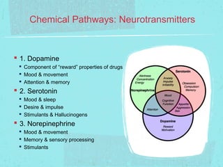 Chemical Pathways: Neurotransmitters


 1. Dopamine
  Component of “reward” properties of drugs
  Mood & movement
  Attention & memory
 2. Serotonin
  Mood & sleep
  Desire & impulse
  Stimulants & Hallucinogens
 3. Norepinephrine
  Mood & movement
  Memory & sensory processing
  Stimulants
 
