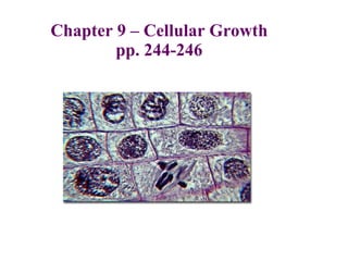 Chapter 9 – Cellular Growth pp. 244-246 