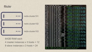 redis-cluster101
redis-cluster102
redis-cluster103
64GB RAM each
4 master instances x 3 hosts = 12
8 slave instances x 3 h...