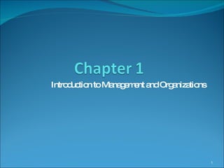 Introduction to Management and Organizations 