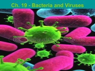 Ch. 19 - Bacteria and Viruses
Chapter 19

 