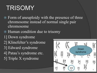 TRISOMY
 Form of aneuploidy with the presence of three
chromosome instead of normal single pair
chromosome
 Human condition due to trisomy
1] Down syndrome
2] Klinefelter’s syndrome
3] Edward syndrome
4] Patau’s syndrome etc.
5] Triple X syndrome
Down
syndrome
 