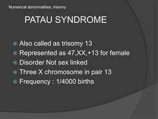 Numerical abnormalities, trisomy
PATAU SYNDROME
 Also called as trisomy 13
 Represented as 47,XX,+13 for female
 Disorder Not sex linked
 Three X chromosome in pair 13
 Frequency : 1/4000 births
 