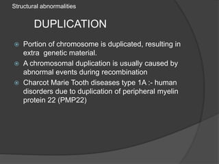 Structural abnormalities
DUPLICATION
 Portion of chromosome is duplicated, resulting in
extra genetic material.
 A chromosomal duplication is usually caused by
abnormal events during recombination
 Charcot Marie Tooth diseases type 1A :- human
disorders due to duplication of peripheral myelin
protein 22 (PMP22)
 