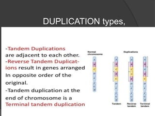 DUPLICATION types,
 