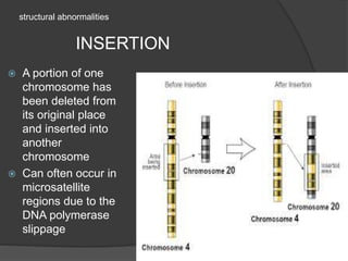 structural abnormalities
INSERTION
 A portion of one
chromosome has
been deleted from
its original place
and inserted into
another
chromosome
 Can often occur in
microsatellite
regions due to the
DNA polymerase
slippage
 