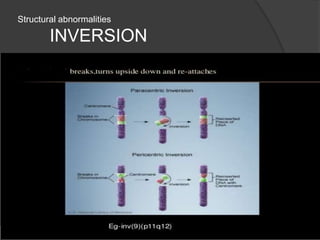 Structural abnormalities
INVERSION
 