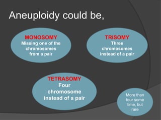 Aneuploidy could be,
MONOSOMY
Missing one of the
chromosomes
from a pair
TETRASOMY
Four
chromosome
instead of a pair
TRISOMY
Three
chromosomes
instead of a pair
More than
four some
time, but
rare
 