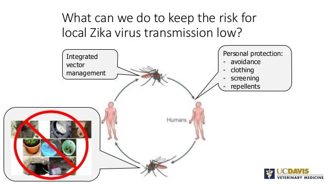 Vector biology and control