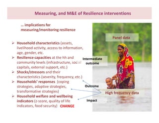 What do we know about resilience and food security? – Most recent progress in measuring and assessing resilience interventions