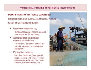 What do we know about resilience and food security? – Most recent progress in measuring and assessing resilience interventions