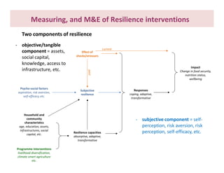What do we know about resilience and food security? – Most recent progress in measuring and assessing resilience interventions