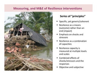What do we know about resilience and food security? – Most recent progress in measuring and assessing resilience interventions