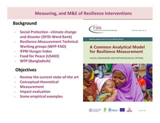 What do we know about resilience and food security? – Most recent progress in measuring and assessing resilience interventions