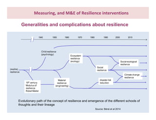 What do we know about resilience and food security? – Most recent progress in measuring and assessing resilience interventions