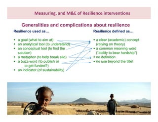 What do we know about resilience and food security? – Most recent progress in measuring and assessing resilience interventions