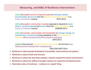 What do we know about resilience and food security? – Most recent progress in measuring and assessing resilience interventions