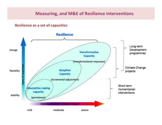 What do we know about resilience and food security? – Most recent progress in measuring and assessing resilience interventions