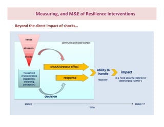 What do we know about resilience and food security? – Most recent progress in measuring and assessing resilience interventions