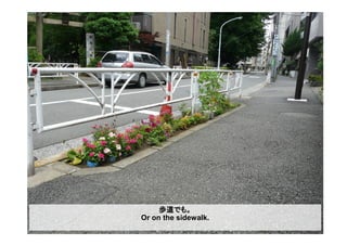 歩道でも。
Or on the sidewalk.
 