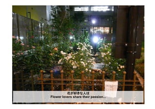 花が好きな人は
Flower lovers share their passion...
 