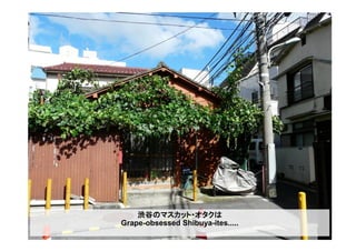 渋谷のマスカット・オタクは
Grape-obsessed Shibuya-ites.....
 