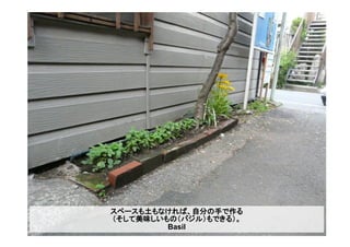 スペースも土もなければ、自分の手で作る
（そして美味しいもの（バジル）もできる）。
Basil
 