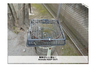 動物立ち入り禁止！
Animals KEEP OUT!
 